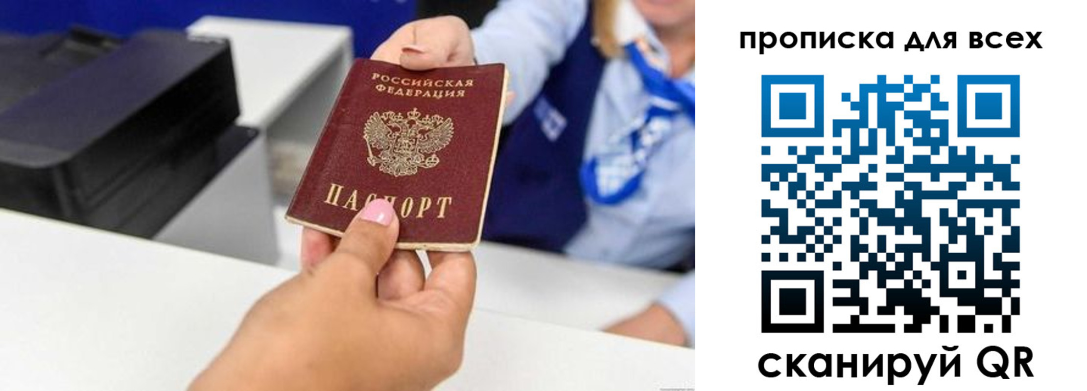 прописка для работы в Светлогорске